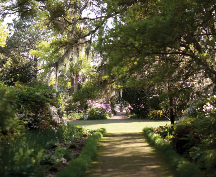 The Story of Airlie Gardens in Wilmington Our State