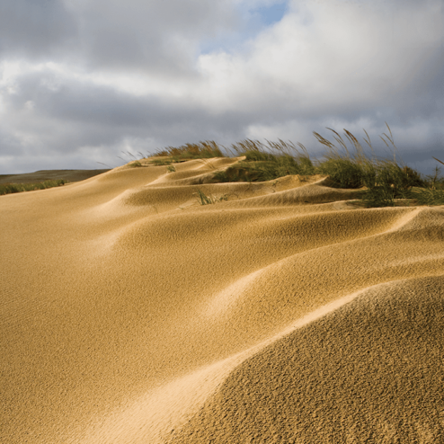 Where Sand Meets Sky: Jockey’s Ridge | Our State