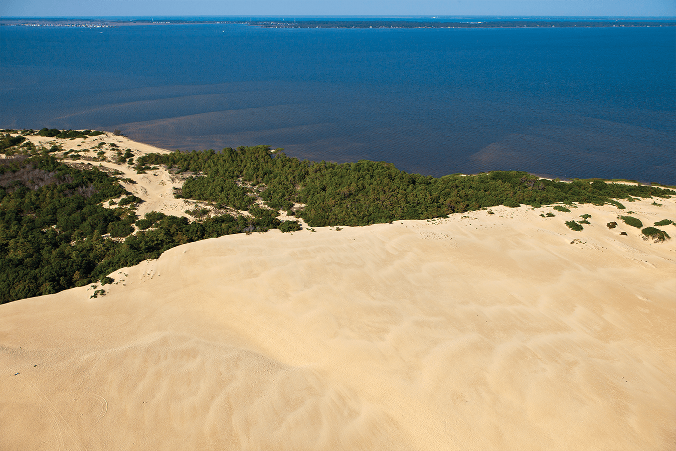Where Sand Meets Sky: Jockey’s Ridge | Our State