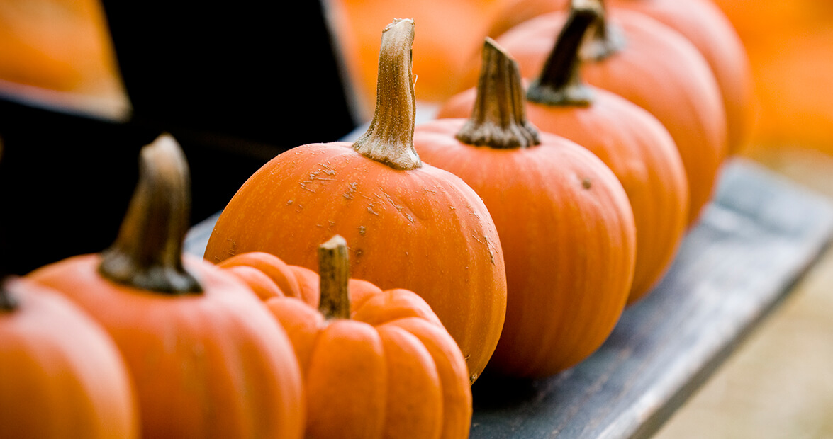 Carolina Calendar: October 2016