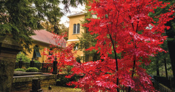 Photo Essay: Fall in Flat Rock