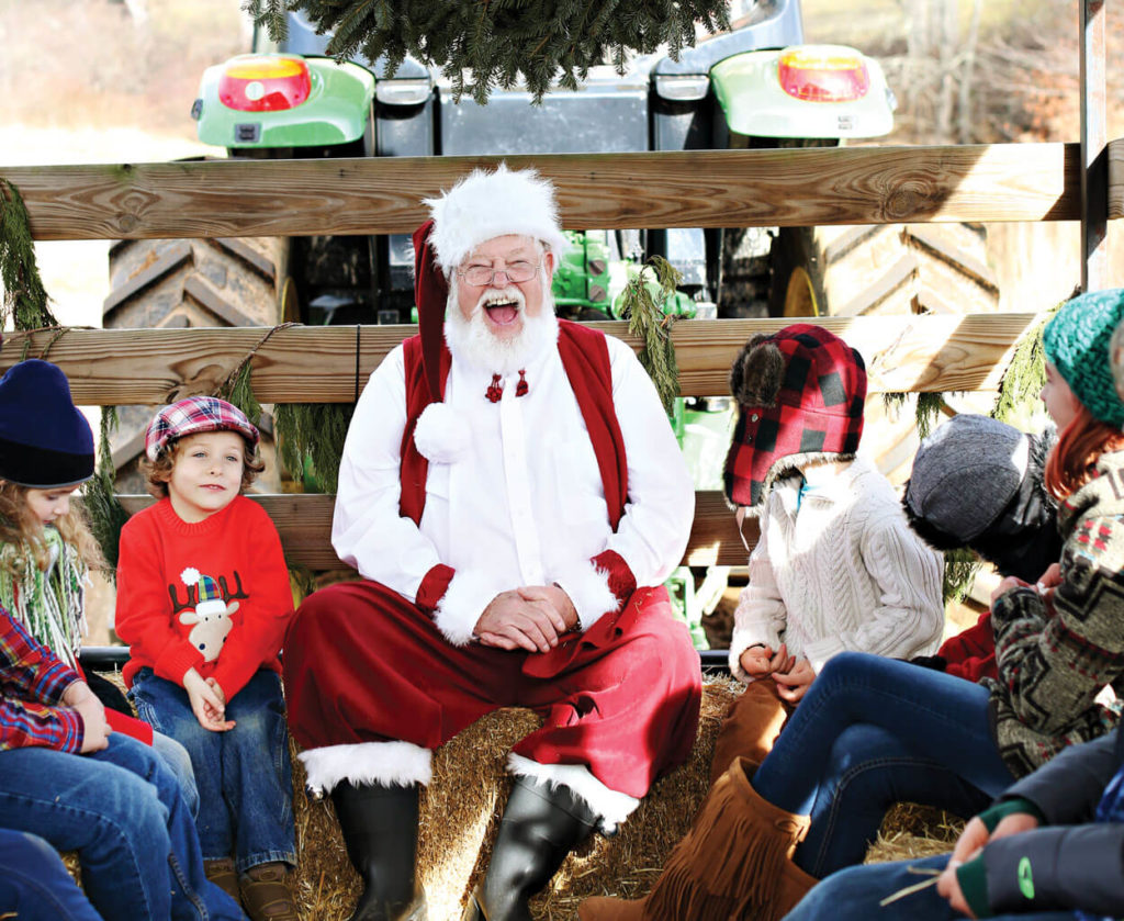 In Pursuit of the Perfect Pine 5 North Carolina Christmas Tree Farms