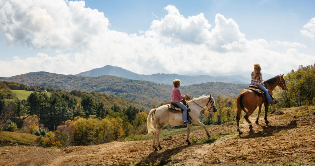 Photo Essay Banner Elk Our State