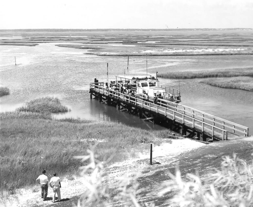 Shaped By Sand & Sea Our State