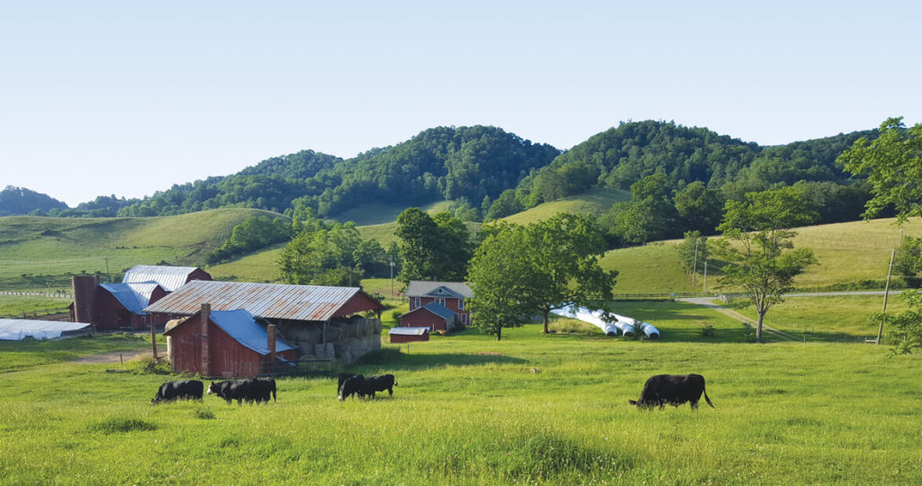 Quiz Farms of a Lifetime Our State