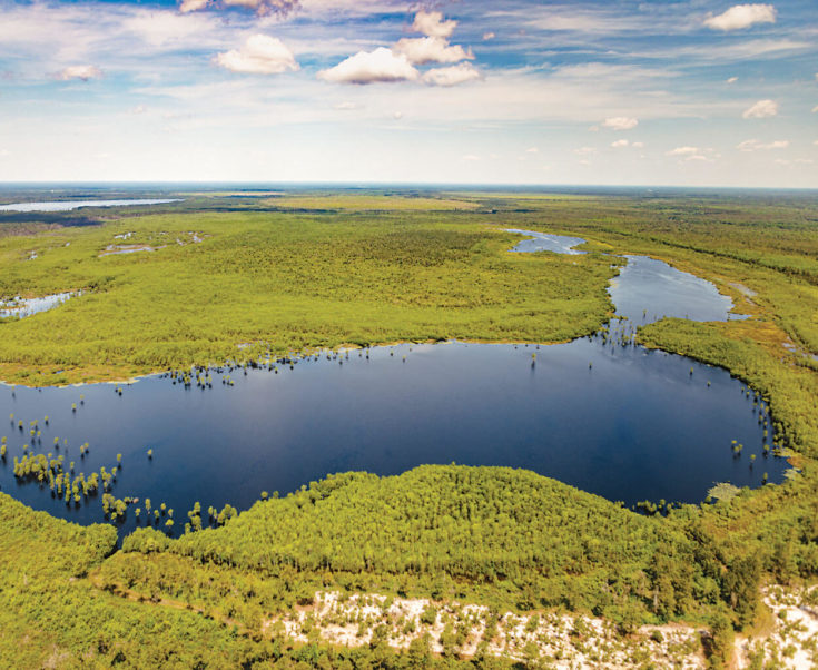 The Mystery of Carolina Bays Our State