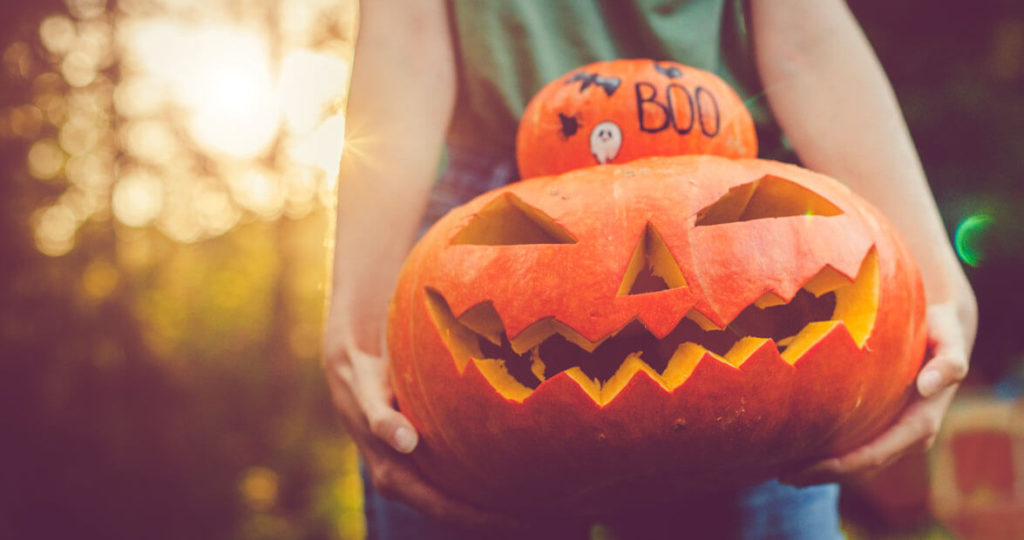 Tips for Storing Pumpkin Seeds Our State