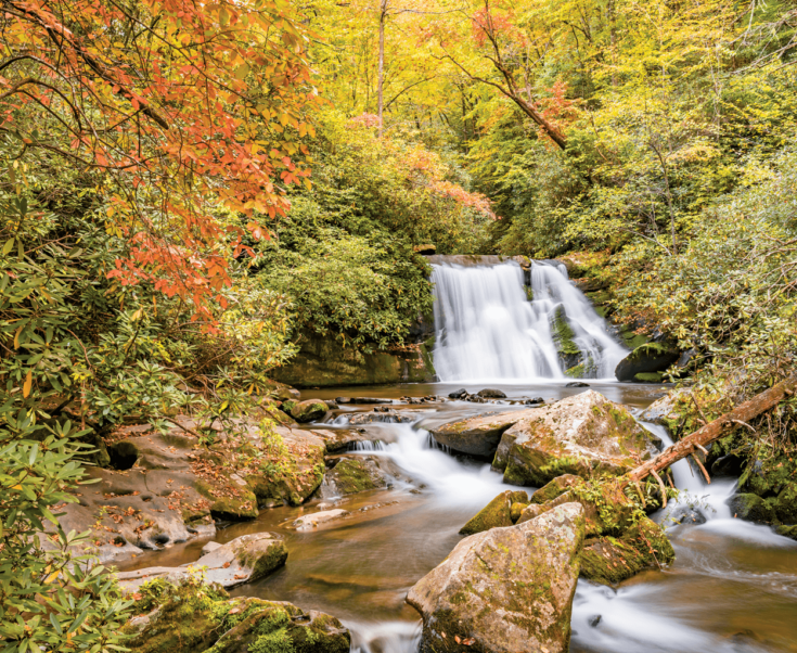 Autumn’s Best Adventure Cherohala Skyway Our State