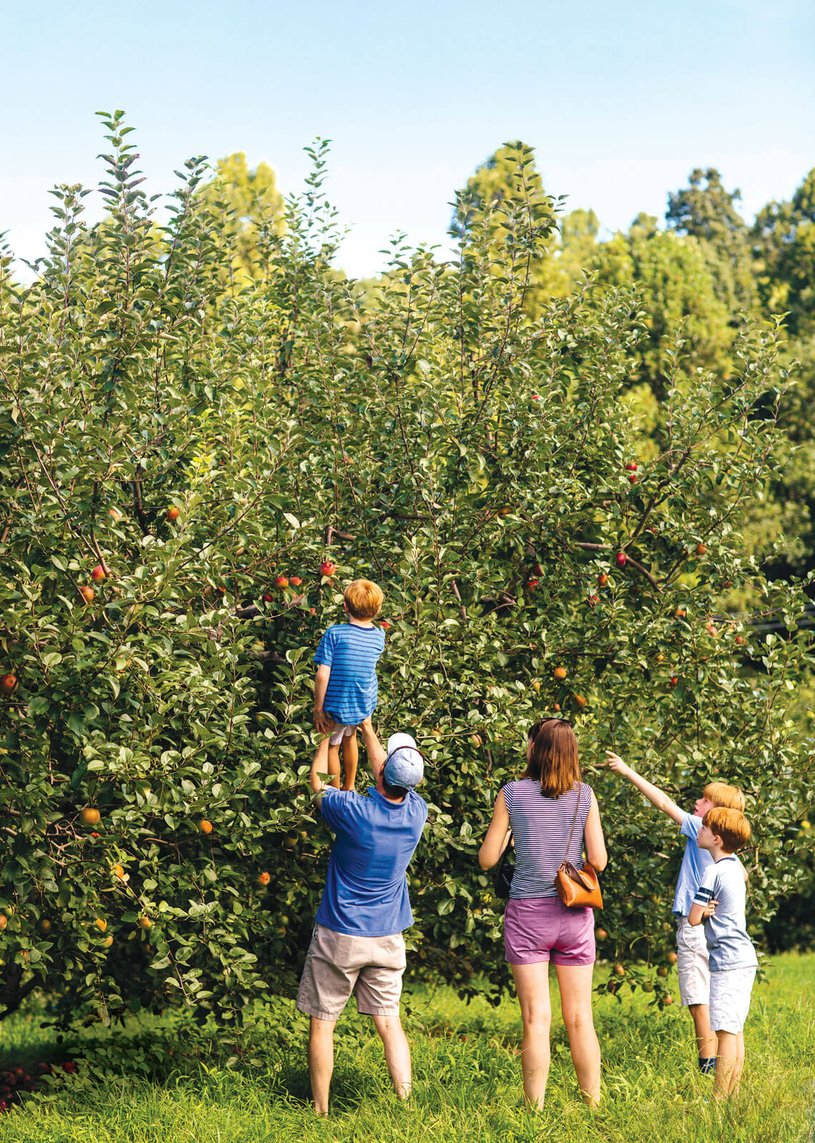 31 Days, 31 Ways to Enjoy Apples in North Carolina | Our State