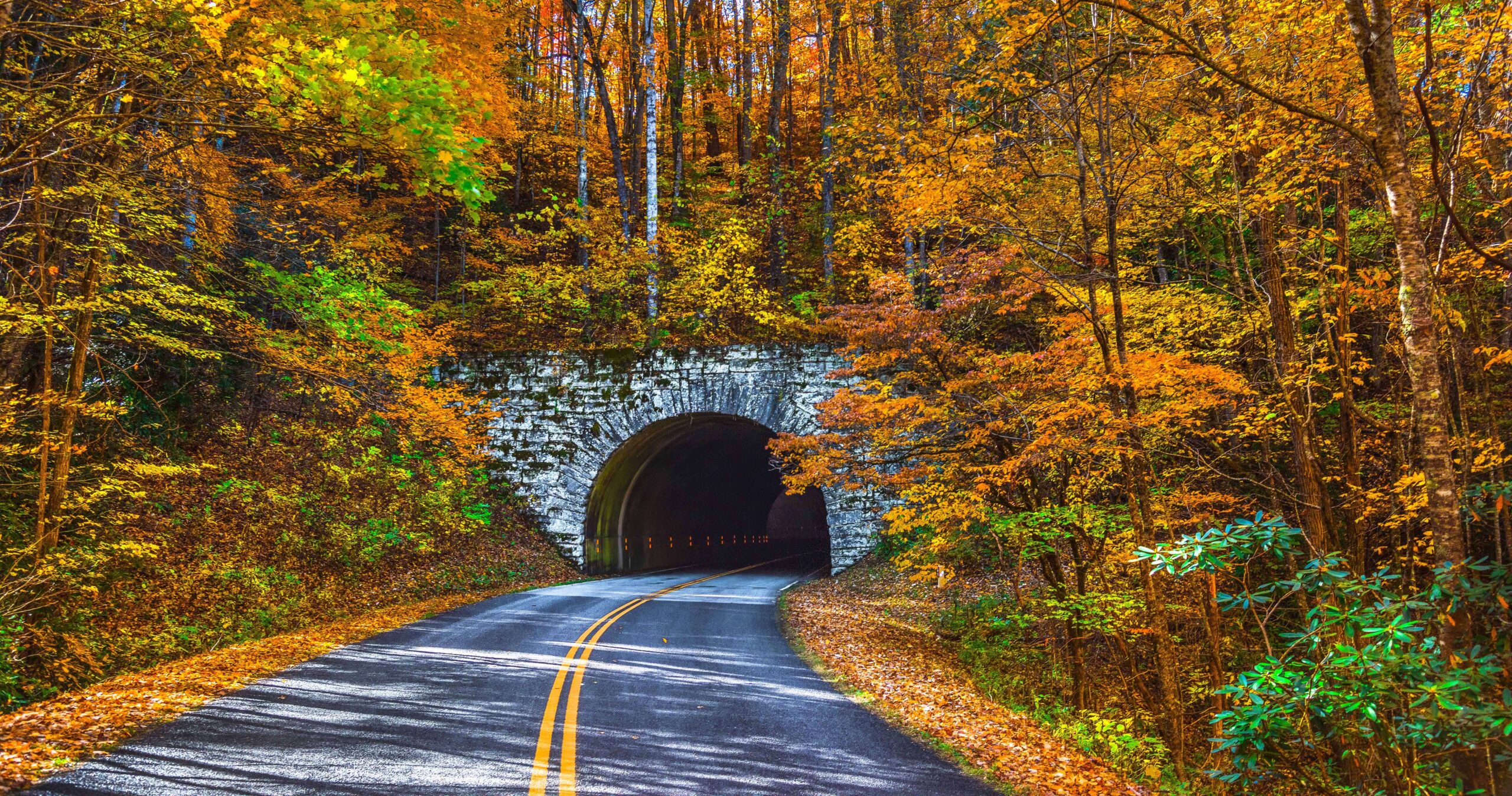 Mileposts & Memories: A Stop-by-Stop Guide to Exploring the Blue Ridge  Parkway | Our State