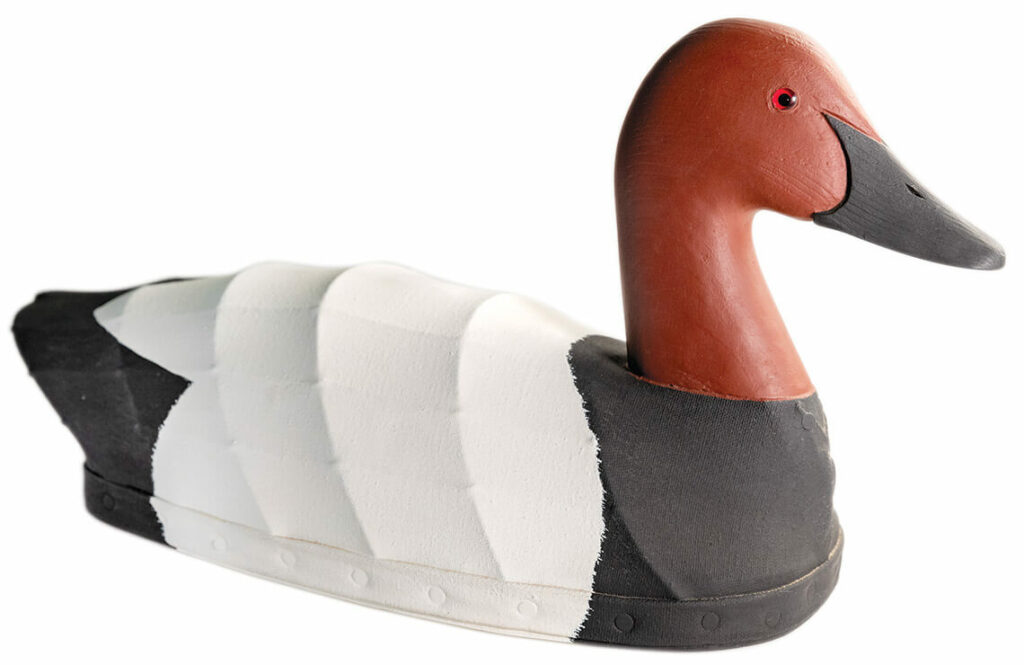 Birds of Paradise Our State