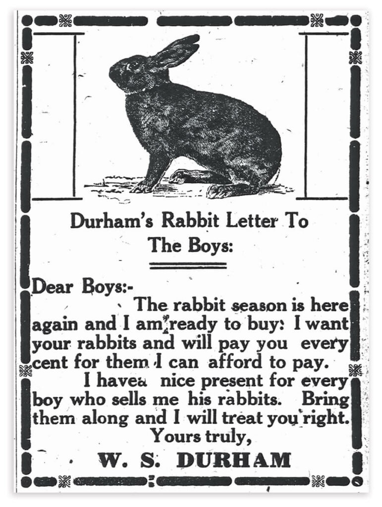 The Rabbits of Chatham County Our State