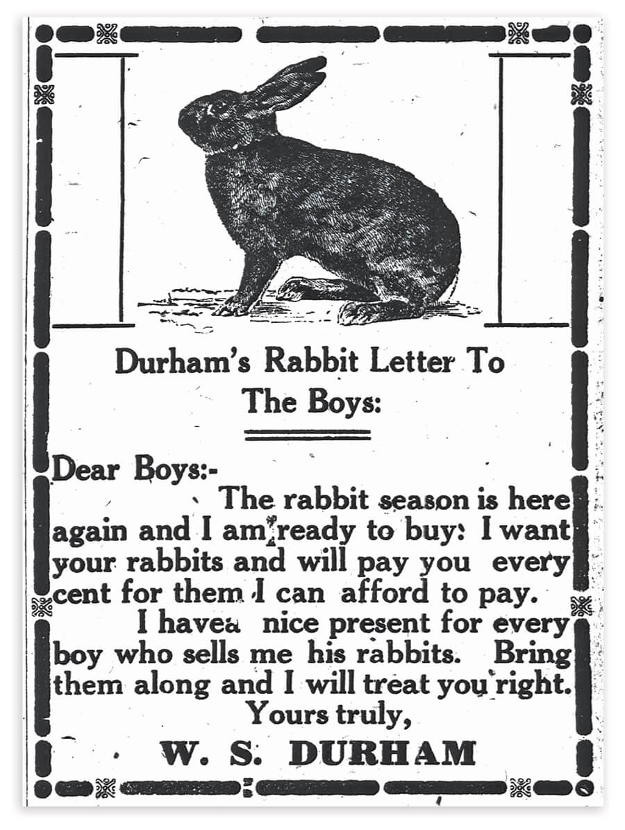 The Rabbits of Chatham County Our State