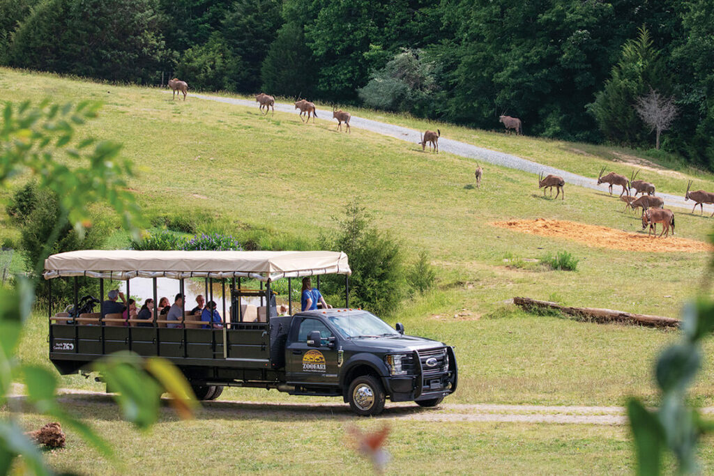 The North Carolina Zoo | Our State