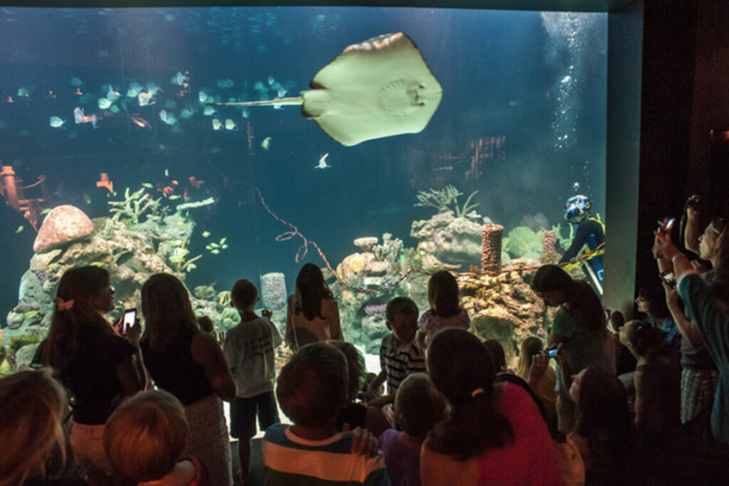 A Day Spent in Greensboro Our State