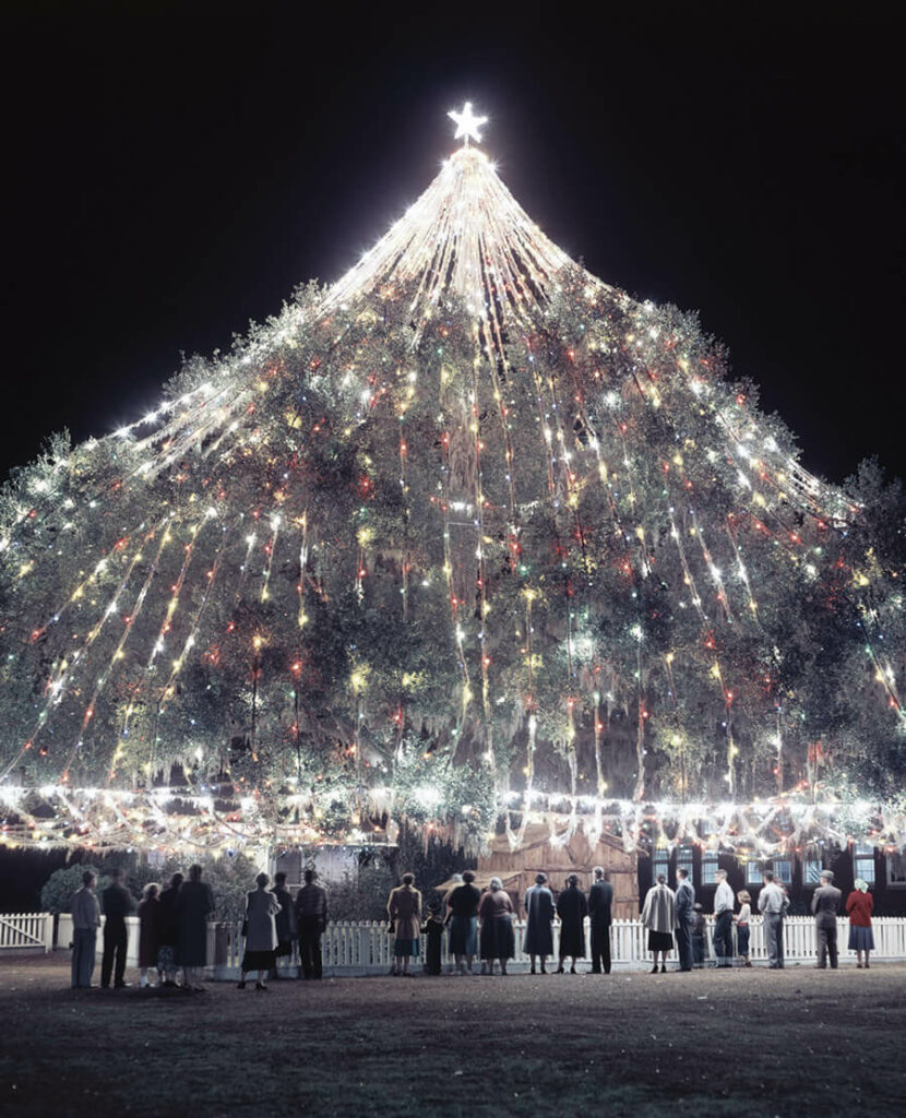 Wilmington’s Colossal Christmas Tree Our State