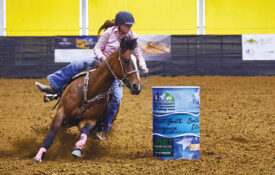 Young woman guides a horse around barrels at the Senator Bob Martin Agricultural Center