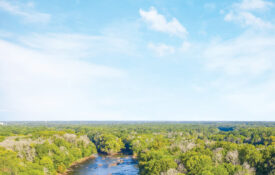 Bridge over the Roanoke River