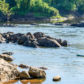Roanoke River near Weldon