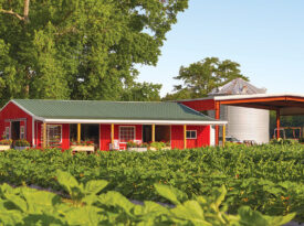Produce stand at Southside Farms