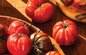 Bowl of heirloom tomatoes