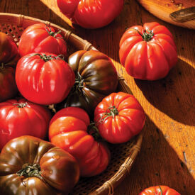 Bowl of heirloom tomatoes