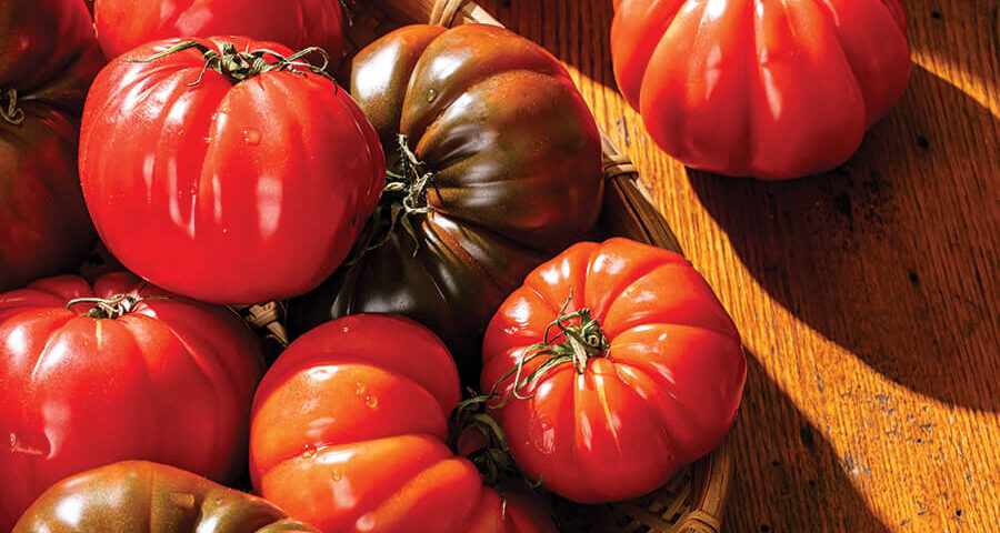 Bowl of heirloom tomatoes
