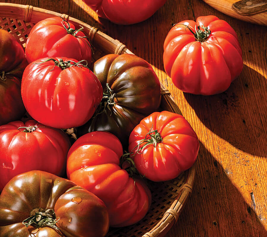 Bowl of heirloom tomatoes