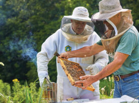 James Wilkes and Todd Swanson tend to their bee boxes