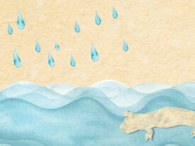 Illustration of a salamander in the river