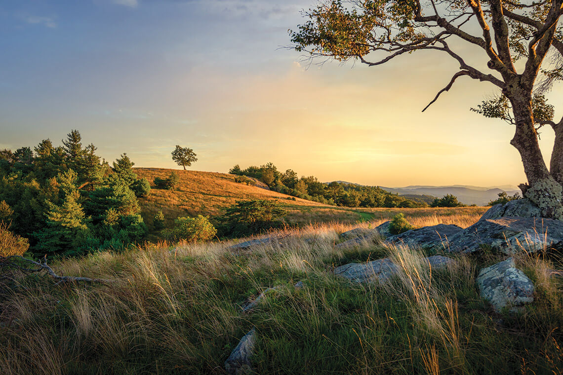 Bluff Mountain at Doughton Park