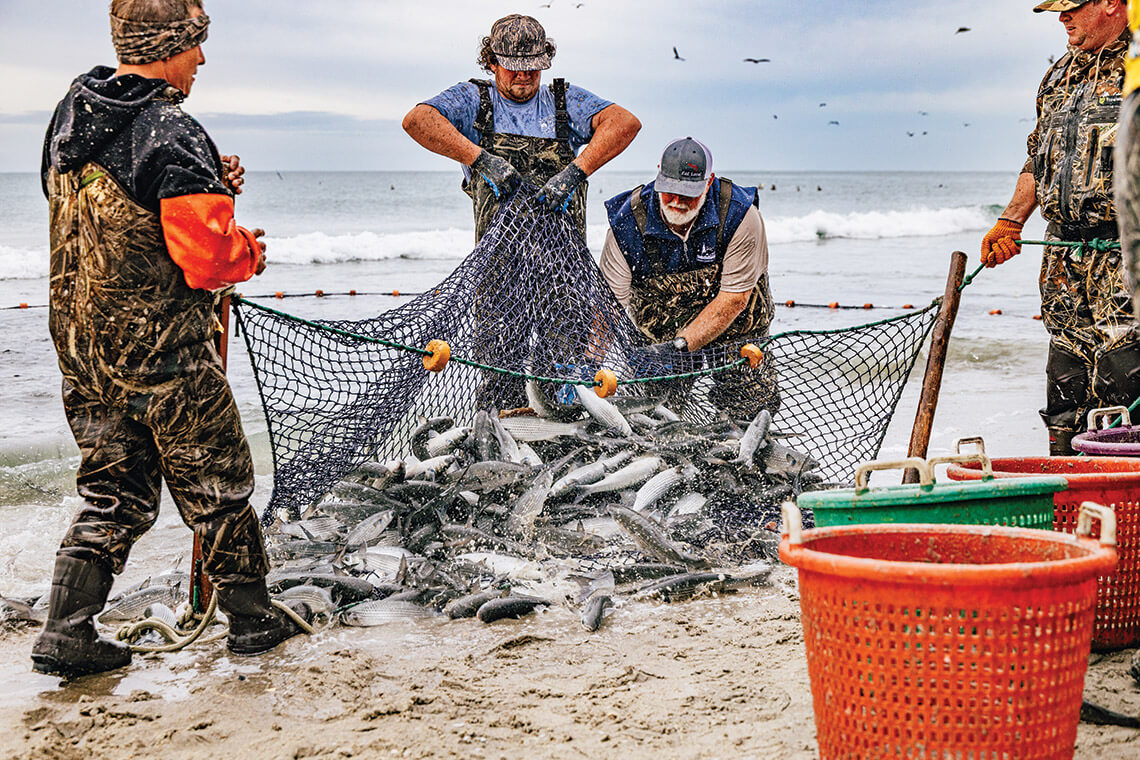 Crew members seine fishing in Salter Path