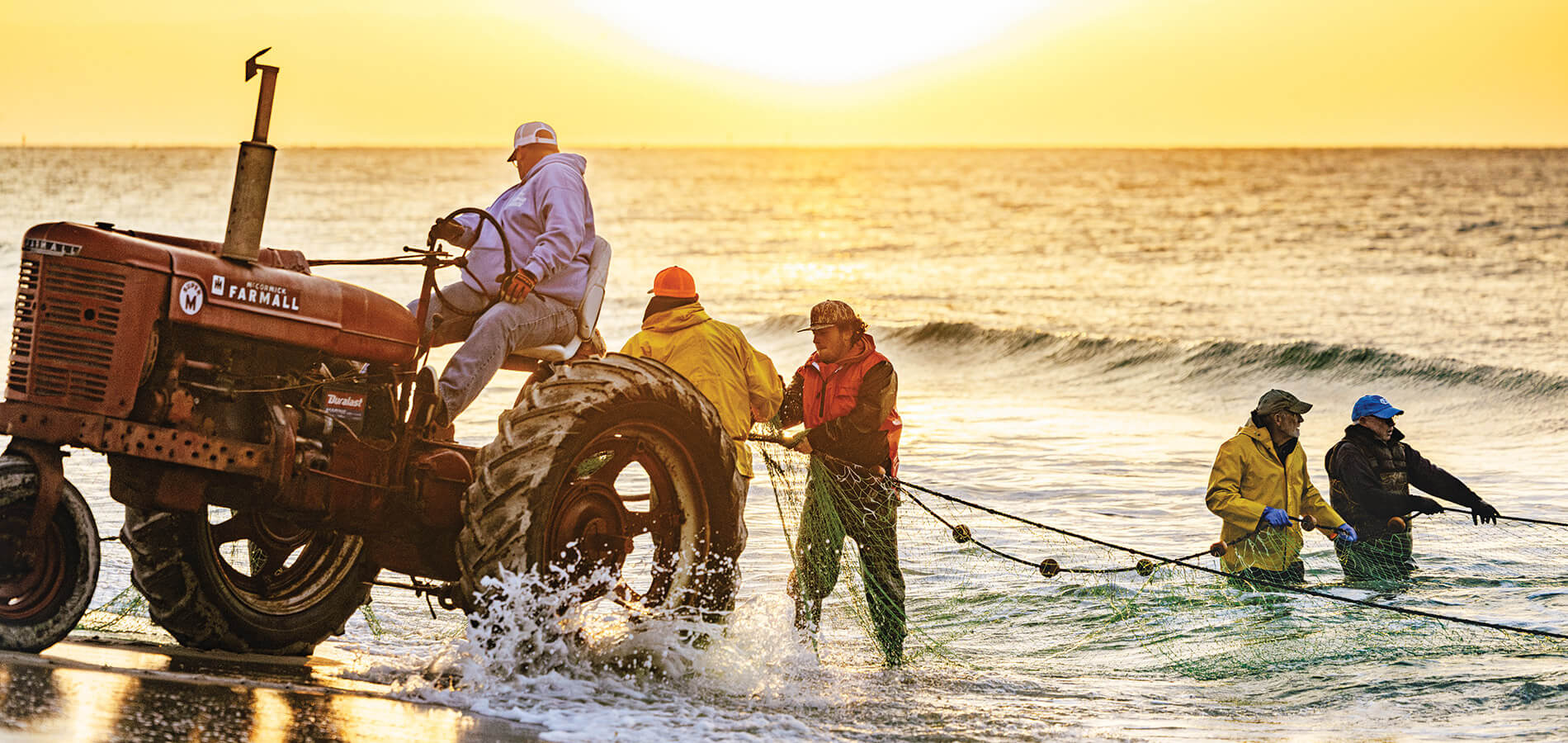 Members of the Salter Path beach seine crew tie a net to the back of a Farmall tractor to pull in thousands of pounds of jumping mullet.