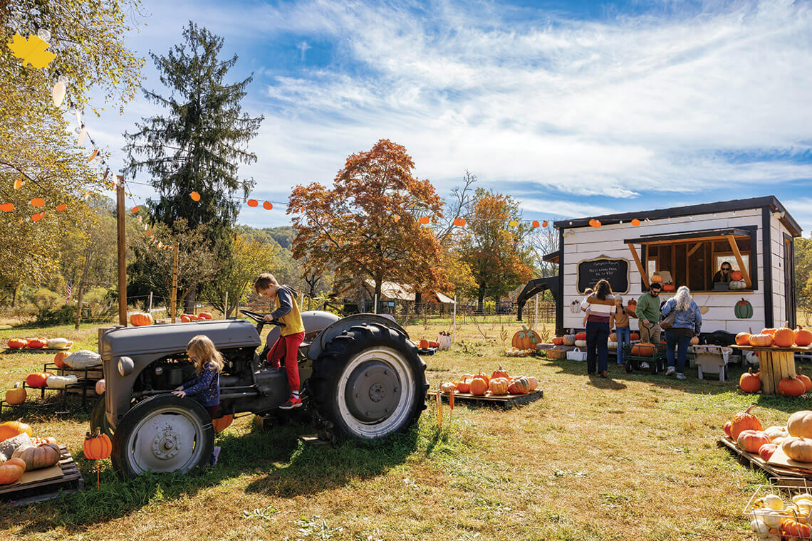 Kids at a pumpkin patch at Packa's Place