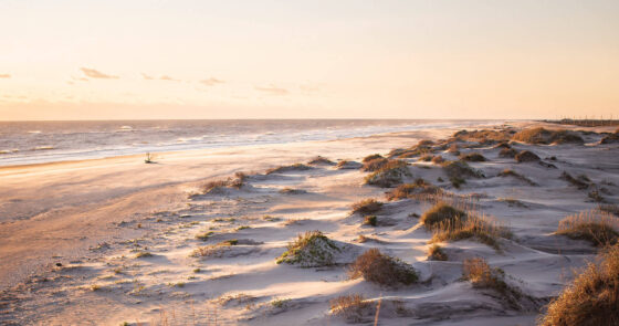 The dunes in Pea Island