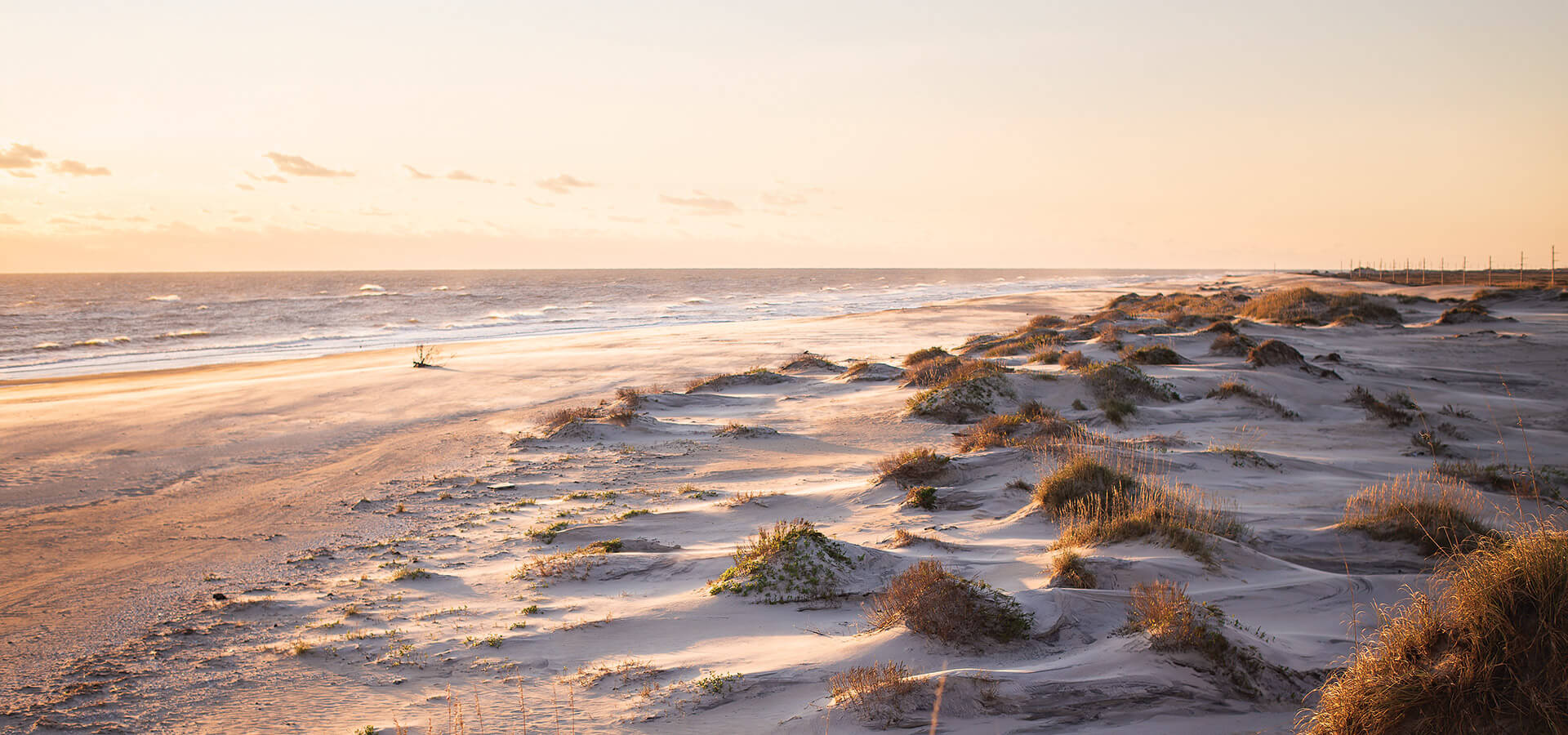 The dunes in Pea Island