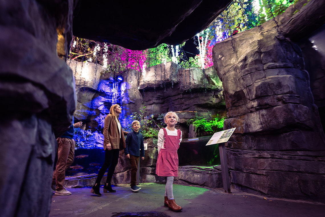 Children explore exhibits at Aquarium Aglow