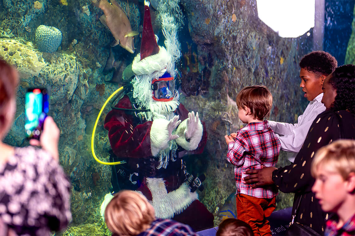 Scuba Santa at Aquarium Aglow
