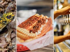 Snapping turtle, chili dog, and pouring beer