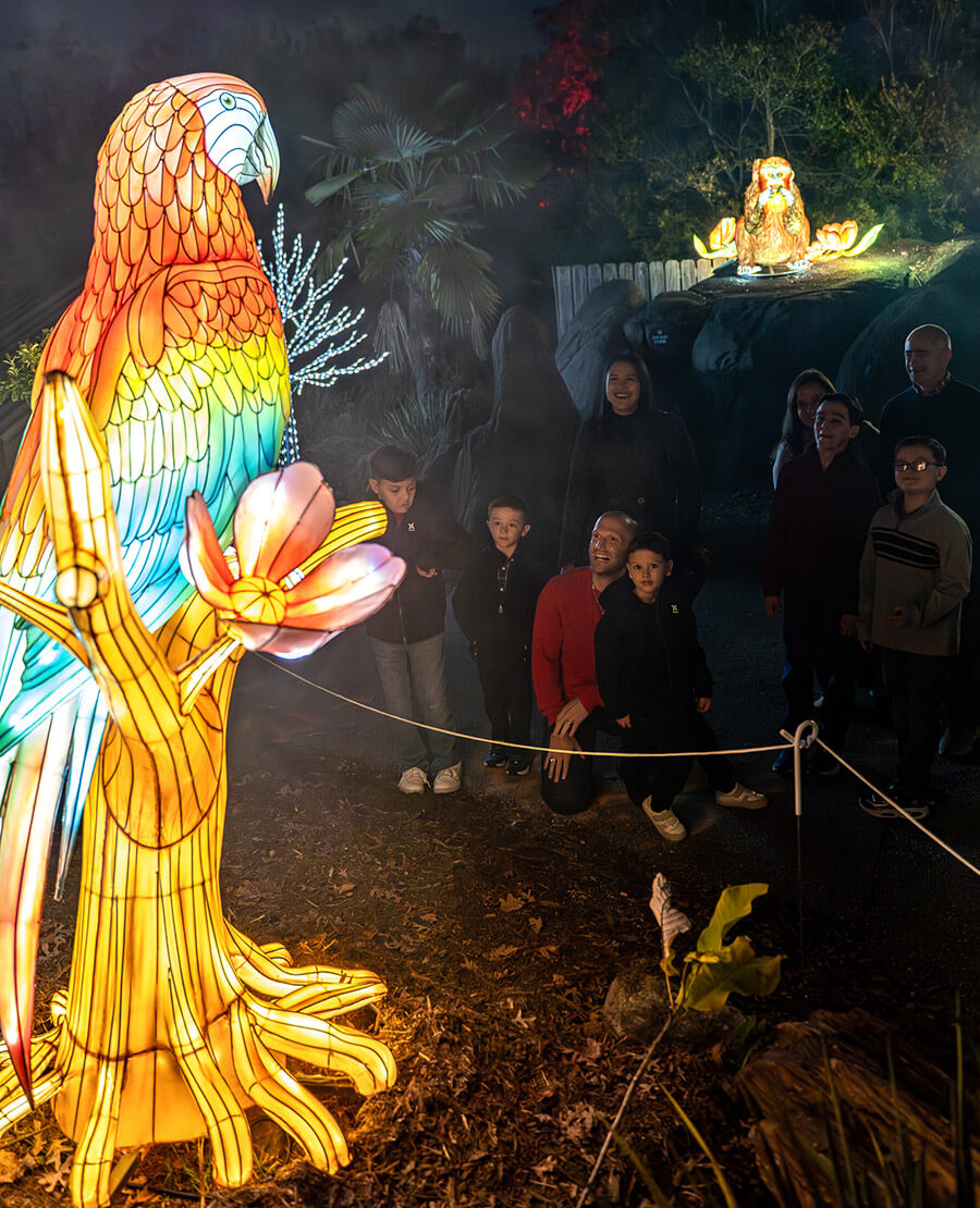 Seasonal Whimsy Returns With Winter Wonderlights | Our State