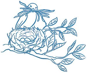 Illustration of bird building a nest