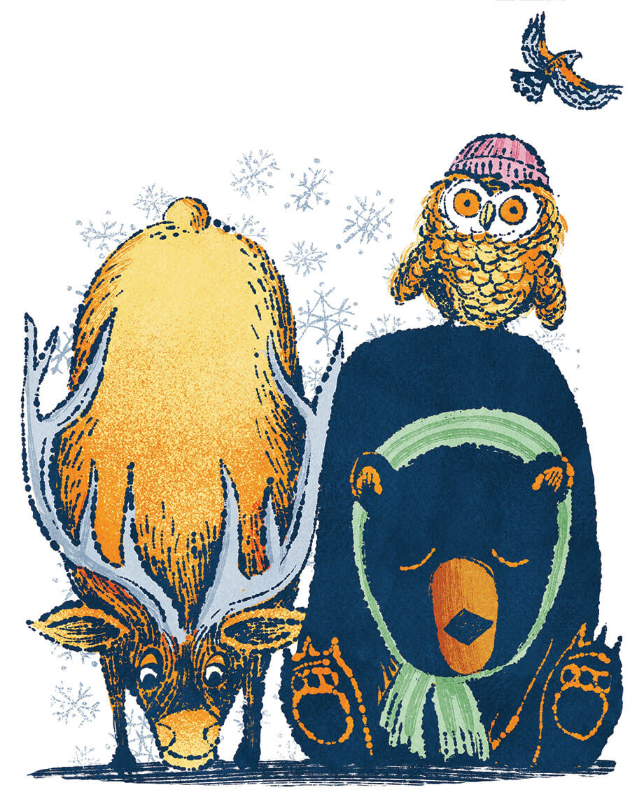 Black bear, owl, deer