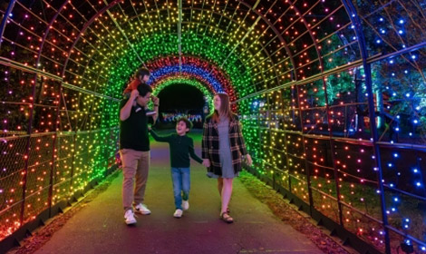 Seasonal Whimsy Returns With Winter Wonderlights | Our State