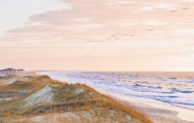 Frisco, NC, beach in the winter