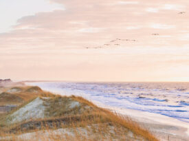 Frisco, NC, beach in the winter