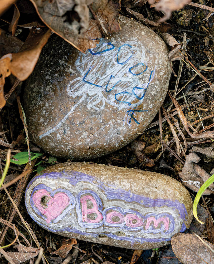 Painted rocks in honor of Peacehaven's barn cat, Boom.