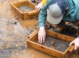 Person panning for precious rocks